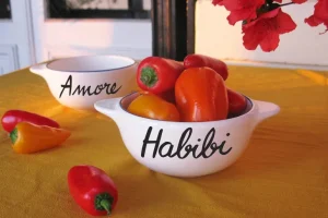 Bol Breton - Habibi-PIED DE POULE Best Sale