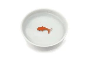 Bol Poisson Rouge-SUCK UK Sale