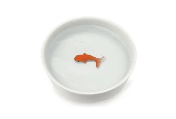 Bol Poisson Rouge-SUCK UK Sale