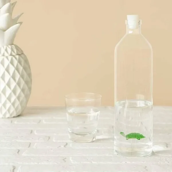 Bouteille Tortue-BALVI Best