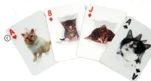 Cartes Chat 3D-KIKKERLAND Online