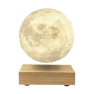 Lampe Smart Moon - Frene Blanc-GINGKO New