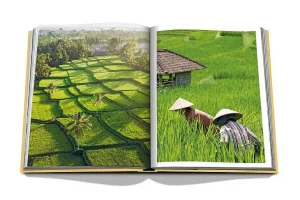 Livre Bali Mystique-ASSOULINE Sale
