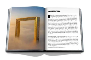 Livre Dubai Wonder-ASSOULINE New