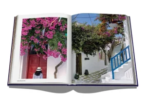 Livre Mykonos Muse-ASSOULINE Online
