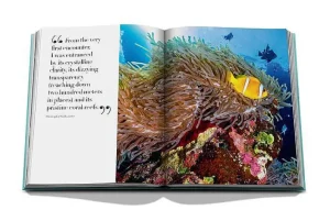 Livre Red Sea: The Saudi Coast-ASSOULINE Clearance