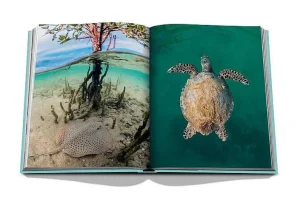Livre Red Sea: The Saudi Coast-ASSOULINE Clearance