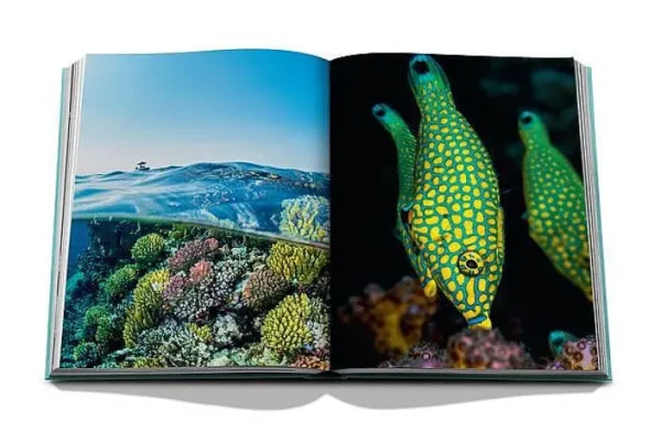 Livre Red Sea: The Saudi Coast-ASSOULINE Clearance