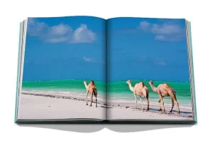 Livre Red Sea: The Saudi Coast-ASSOULINE Clearance