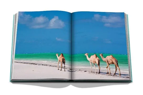 Livre Red Sea: The Saudi Coast-ASSOULINE Clearance