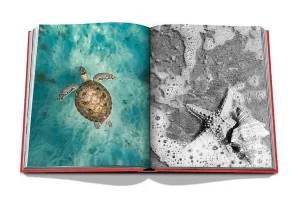 Livre St Barths Freedom-ASSOULINE Flash Sale