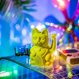 Lucky Cat Edition Miami - Freedom-DONKEY PRODUCTS Outlet