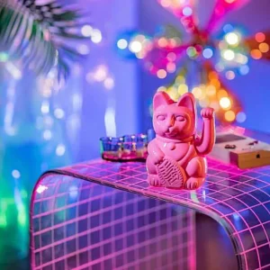 Lucky Cat Glossy Pink - Diversity-DONKEY PRODUCTS Shop