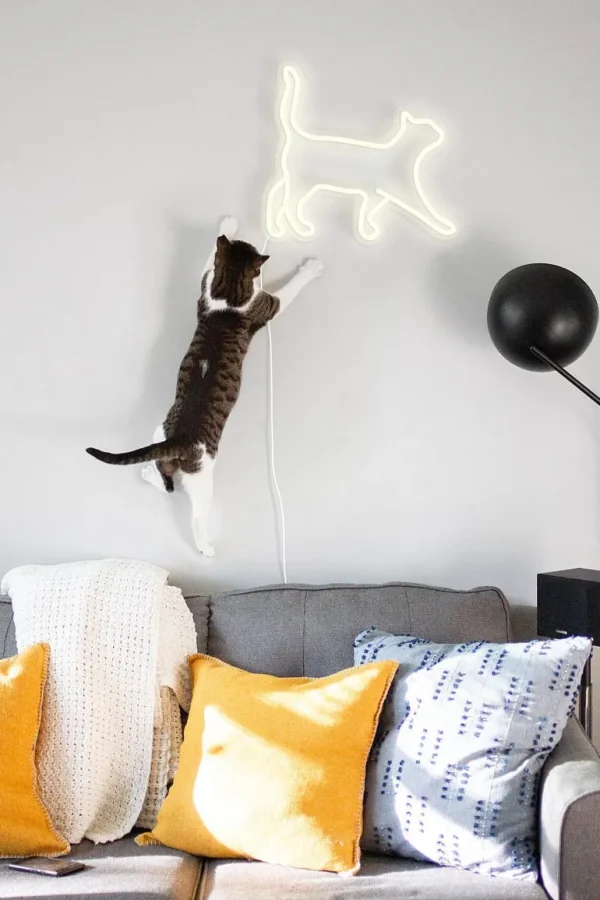 Neon Led Cat-L10 TRADING Online