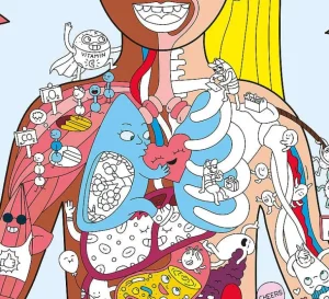 Poster + Stickers - My Body-OMY Flash Sale