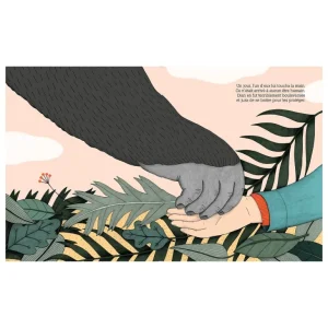 Petite & Grande Livre - Dian Fossey-ELCY Fashion