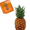 Puzzle Plexi - Ananas-DAPY DO INTERNATIONA Cheap