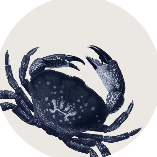 Set De Table Crabe-PODEVACHE New