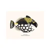 Set De Table Yellow Fish-PODEVACHE Discount