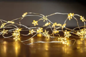 Guirlande Lumineuse 40 Leds Star Fil Argent-SIRIUS Shop